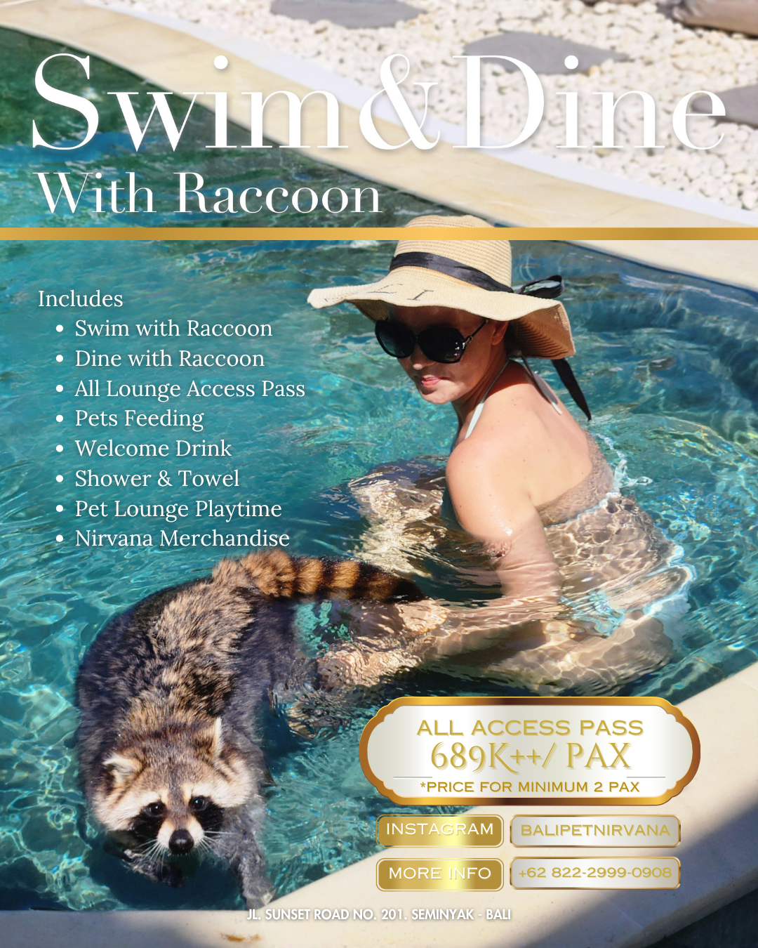 Swim and Dine with Raccoon